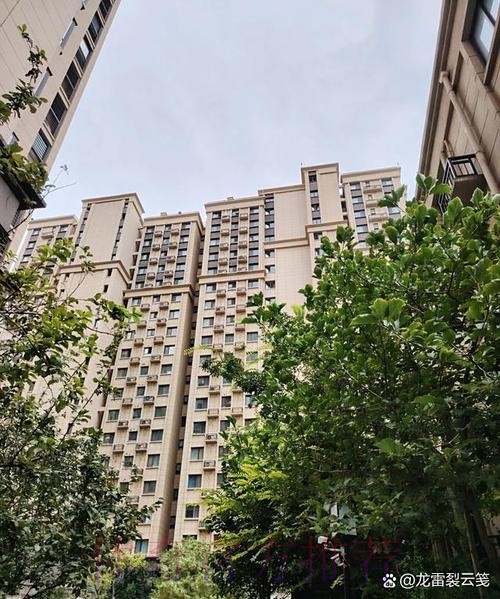 齐祖在马德里购置了多套房产 目前还在建造新房子 齐祖在马德里购置了多套房产 目前还在建造新房子